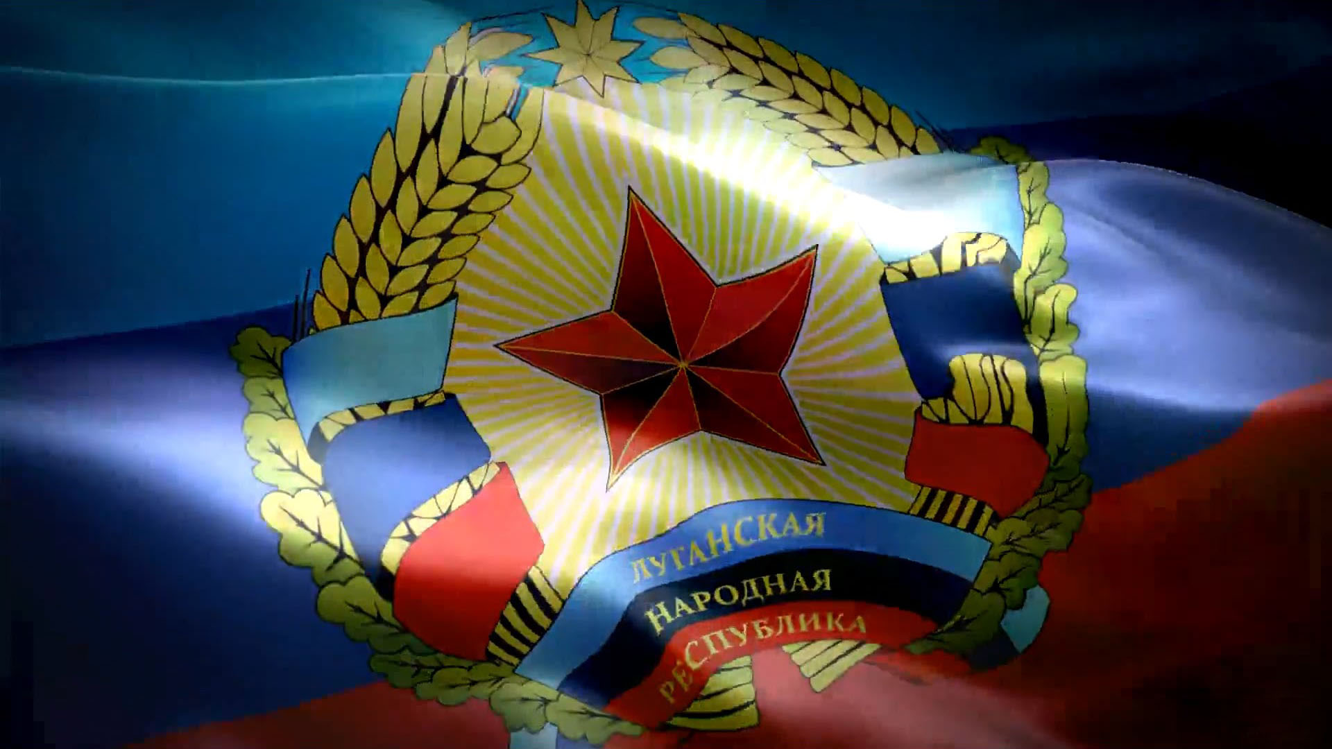 Закон об участниках боевых действий принят в ЛНР - «Военные действия»