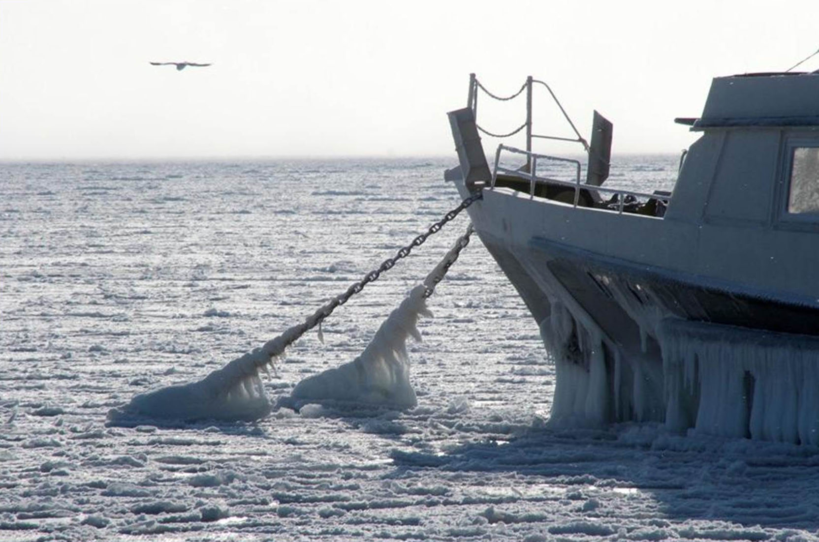 Замерзает ли японское море. Замерзшее черное море 2012. Евпатория замерзло море. Обледенение судов. Обледеневший корабль.