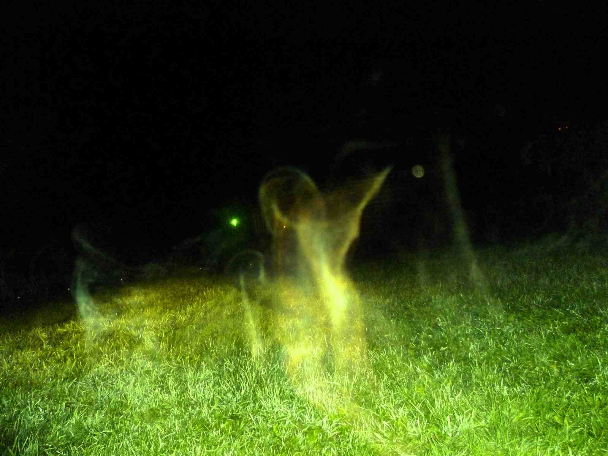 Кто такой фантом. Личность фантом. Фантом призрак привидение. Фантом призрак. Фантом призрак.