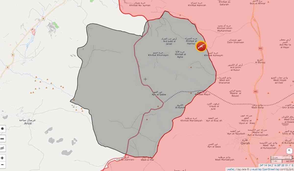 Хомс Сирия на карте. Цар карта боевых действий. Сирийская армия в Ливане. Граница Сирии и Ливана. Иг на карте