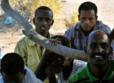 сомалийцы в Джибути