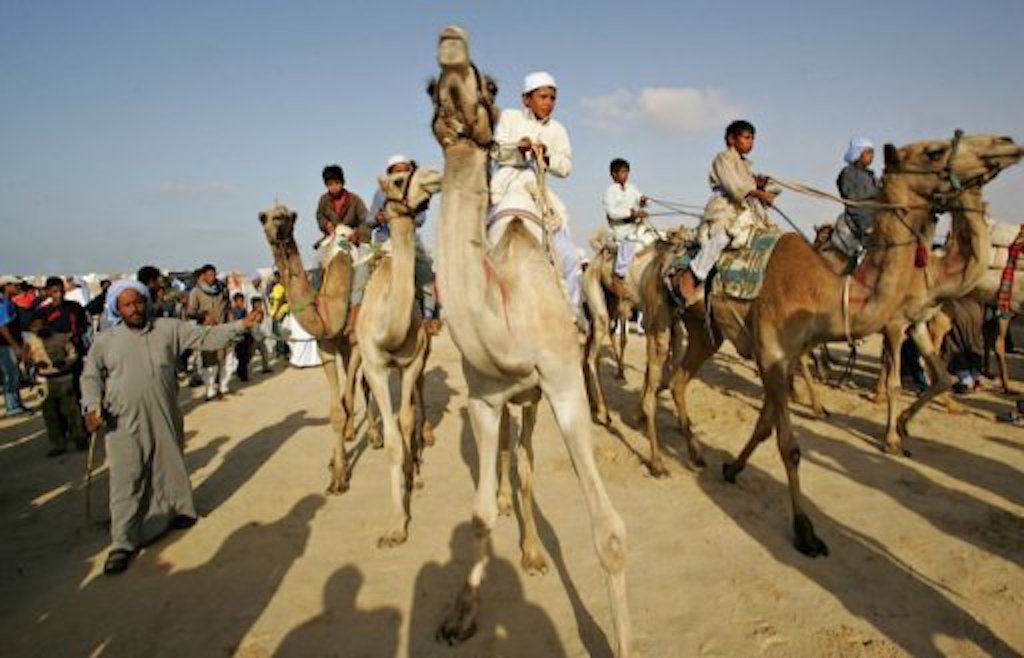 Бедуины Северного Синая поддерживают Египет в борьбе с ИГ - ANNA NEWS