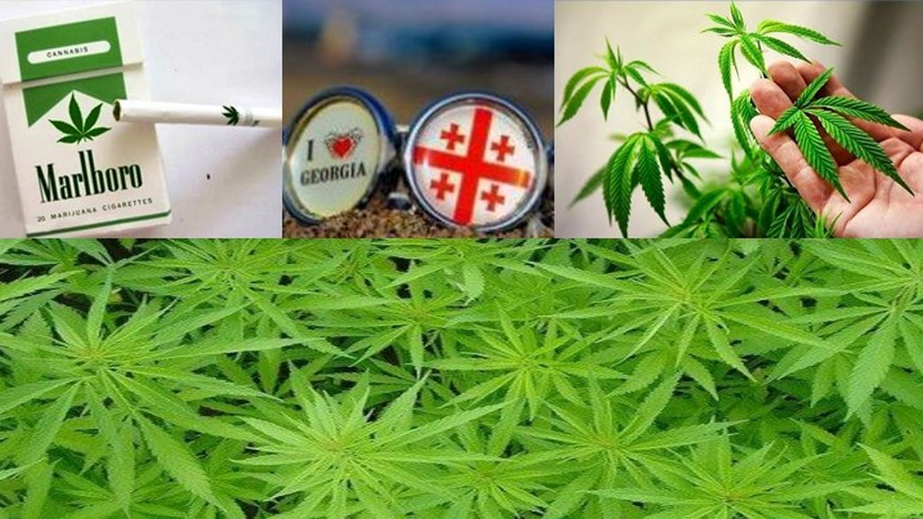В армении легализовали марихуану тор браузер скачать для mac gydra