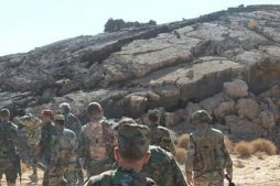 армия Сирии, Сувейда