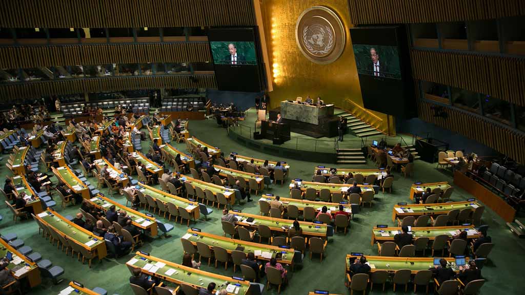 Вопрос новых областей России рассмотрит Генассамблея ООН