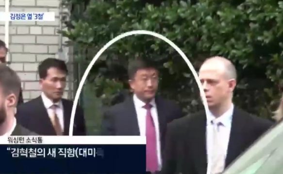 Ким Хёк Чхоль, дипломат КНДР
