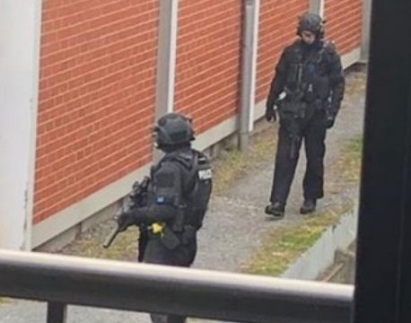 полиция в Данидине, массовое убийство в Крайстчерче, Новая Зеландия