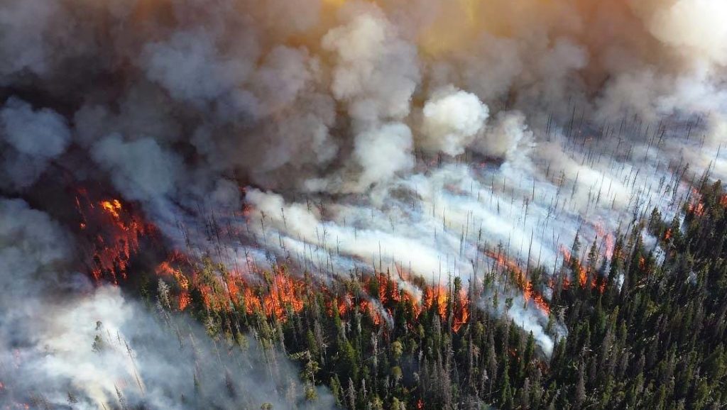 пожар Забайкалье май 2019 