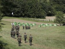Штирийская гвардия Словении