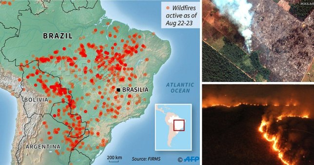 очаги лесных пожаров на карте