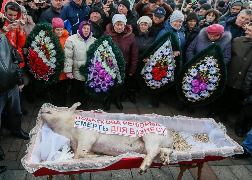 Нет продаже земли: Украинские аграрии пугают Раду свиньёй в гробу