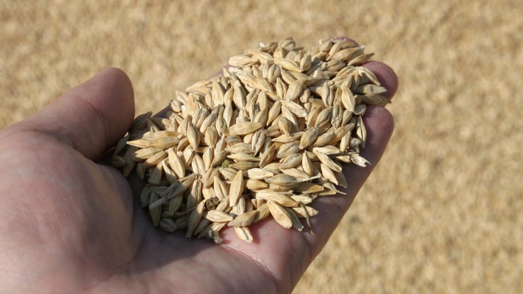Грузинские власти решили субсидировать закупку зерна за рубежом. Одобрена соответствующая государственная программа. Тем импортёрам, кто готов поставить из-за границы от 2 тысяч до 40 тысяч тонн пшеницы правительство страны пообещало не более 40 долларов США за тонну в пересчёте на местную валюту лари.