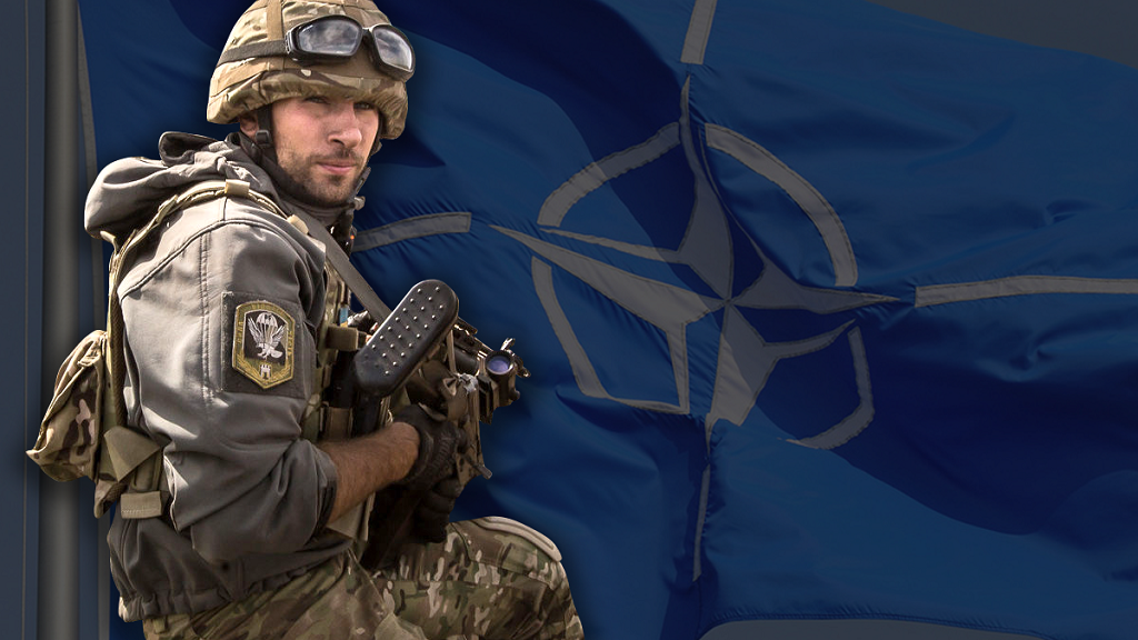 Белый дом вычеркнул из обращения слова поддержки вступления Украины в НАТО