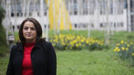 Депутат Бундестага: правительство ФРГ ведёт «подготовку к войне с Россией»