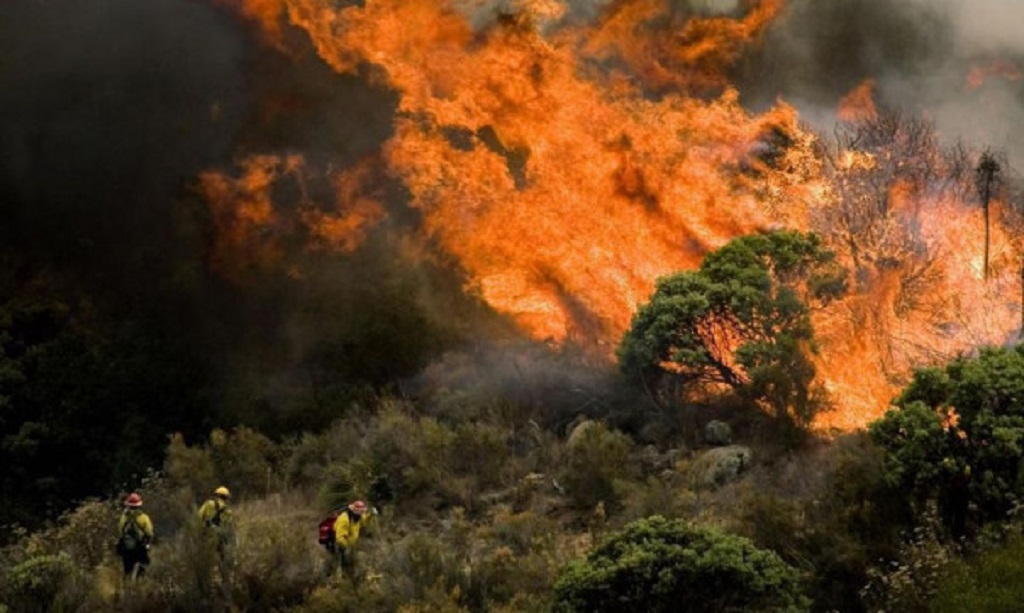 Инженеры МИТ запатентовали метод борьбы с лесными пожарами