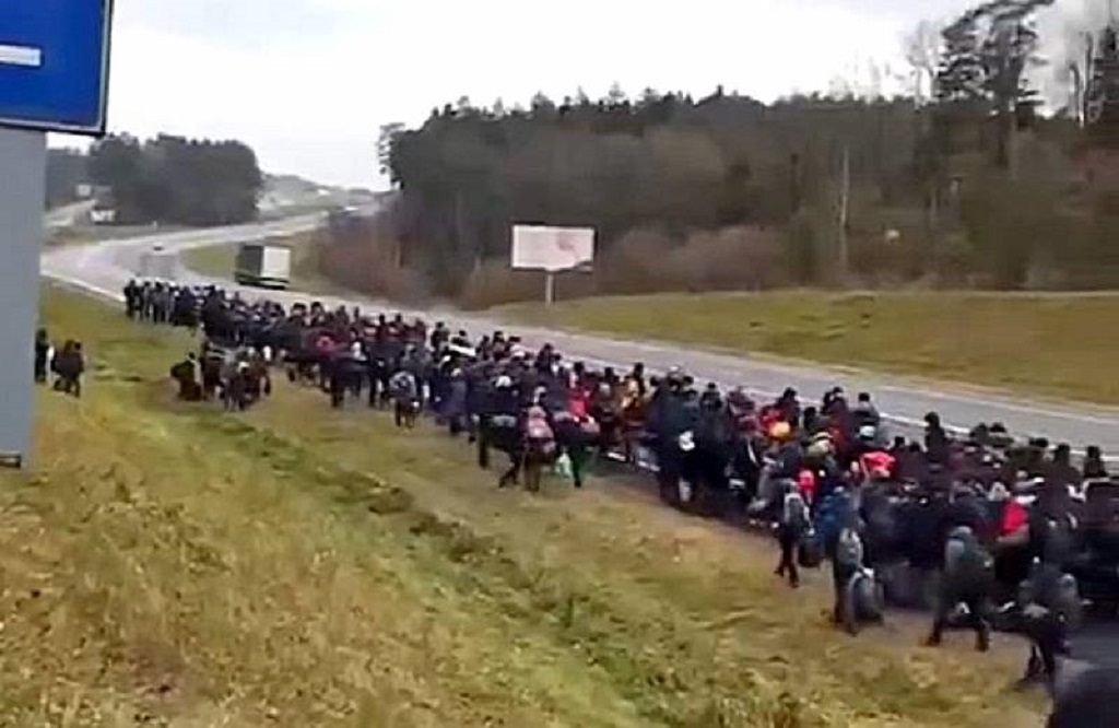 «Готовность №1»: Толпы мигрантов направляются в Польшу от границ с Белоруссией