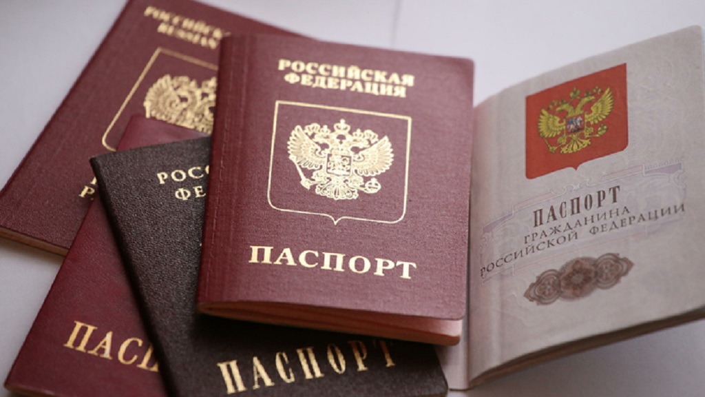 МВД России: к концу года гражданство получат 700 тысяч человек 