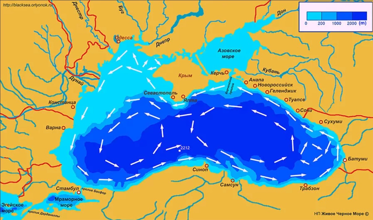 течения в Черном море