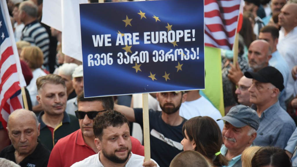 Сторонники евроинтеграции в Грузии устроили многочисленные акции под лозунгом «Домой, в Европу». Шествия прокатились как в Тбилиси, так и в регионах страны: в Батуми, Кутаиси, Озургети и Зугдиди. В общей сложности, в акции в Тбилиси поучаствовало от 20 тыс. до 30 тыс. человек.