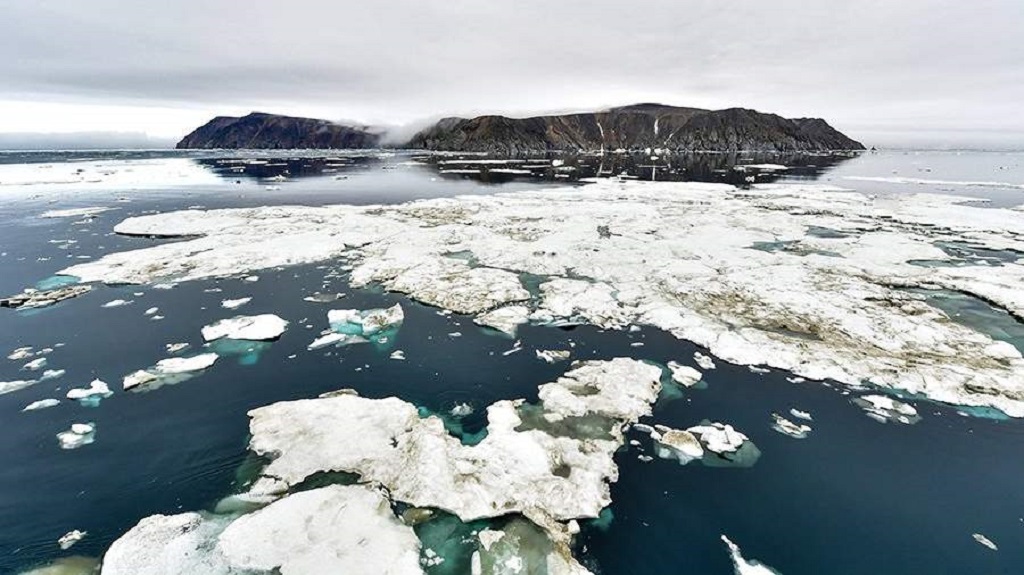 WSJ призвала власти США «отнять» у России остров Врангеля в Северном Ледовитом океане