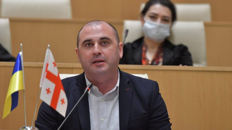 Избран новый лидер крупнейшей оппозиционной партии Грузии