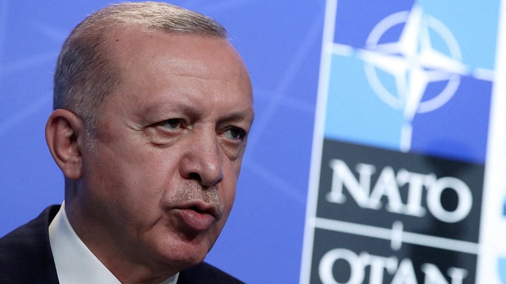 Глава Турции Эрдоган посчитал Украину достойной членства в НАТО