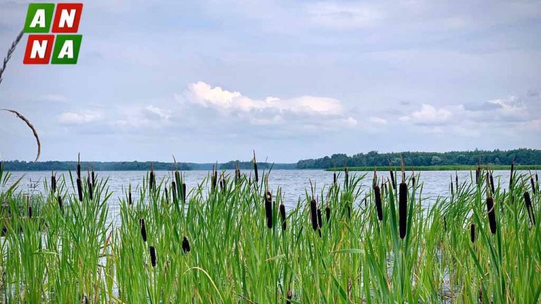 Литва хочет построить пограничный забор на болотах