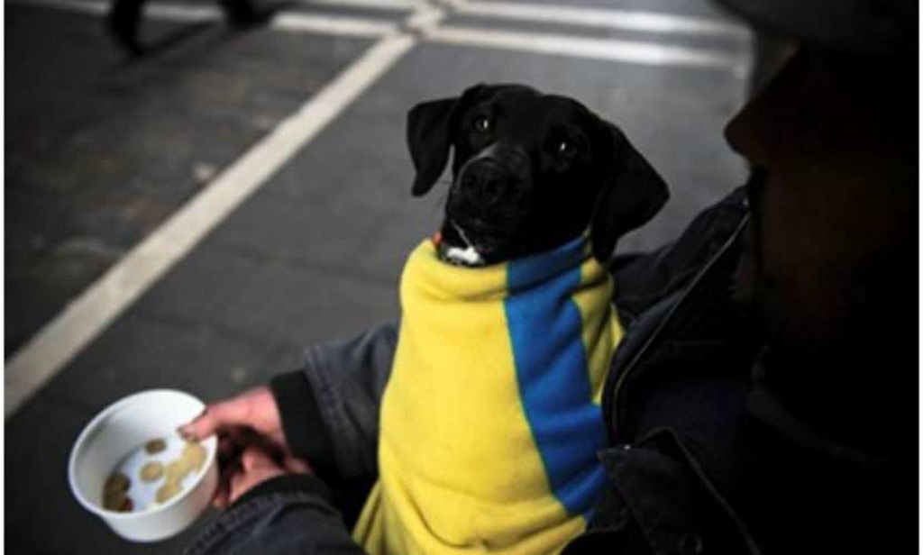 В Норвегии будут платить украинцам за возвращение на Украину