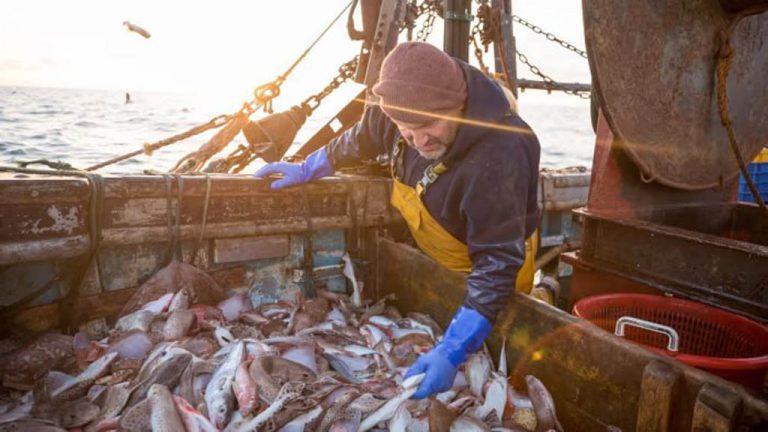 В Великобритании озаботились запретом на вылов рыбы в российских водах