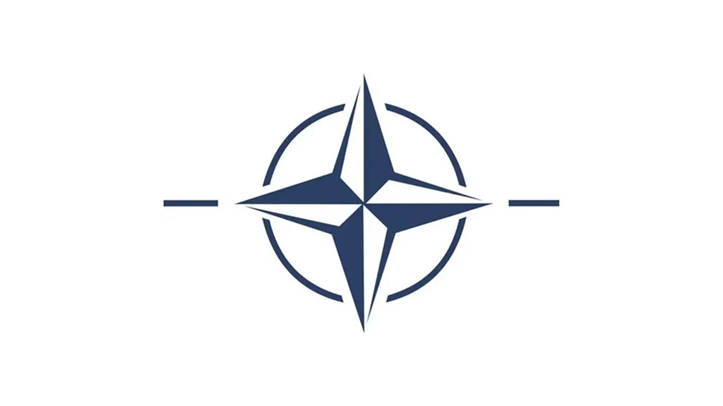 Отставной майор СБУ почувствовал «зраду» и назвал НАТО слабой организацией