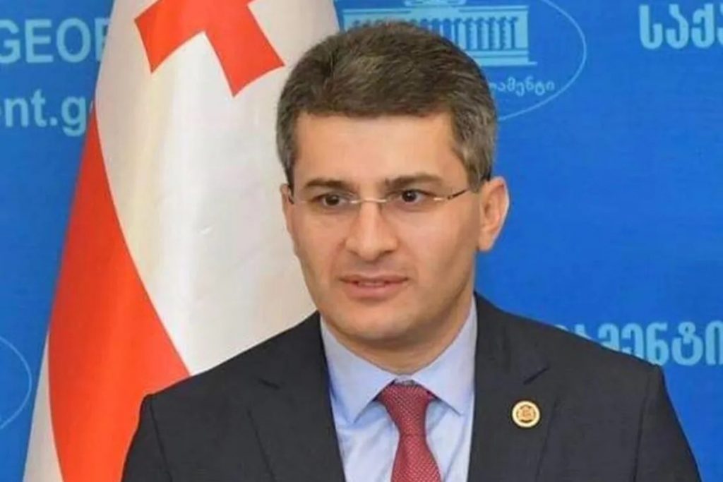 В правящей партии Грузии посоветовали не устраивать истерику по поводу закона об иноагентах