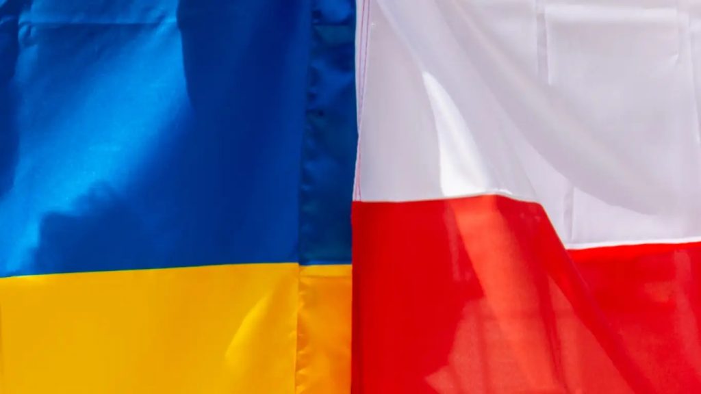 Эксперт Бардин отметил готовность Польши задерживать и депортировать домой граждан Украины