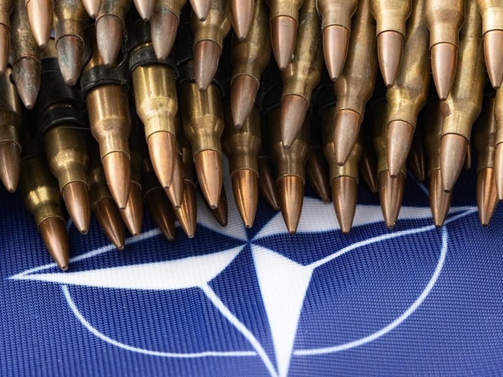 Немецкий посол Егер: Украину не примут в НАТО, пока идёт война