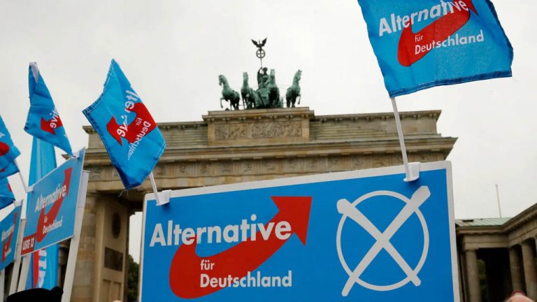 Партия «Альтернатива для Германии» подала иск против контрразведки ФРГ