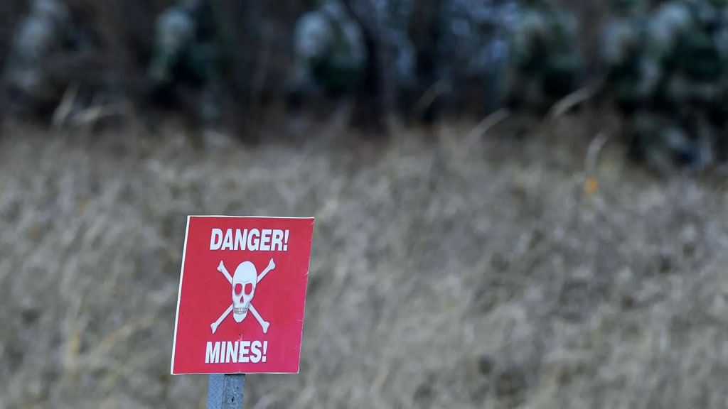 Сейм Польши (нижняя палата парламента) проголосовал за выход страны из Оттавской конвенции, запрещающей применение, хранение и производство противопехотных мин. Об этом говорится в сообщении канцелярии парламента.