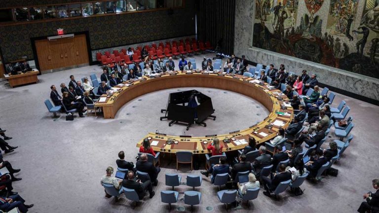 Лишь 46 из 193 стран-членов ООН, а также делегация Евросоюза поддержали заявление Польши о якобы причастности России к инциденту с беспилотниками, нарушившими её воздушное пространство, на созванном по инициативе Варшавы экстренном заседании Совбеза ООН.