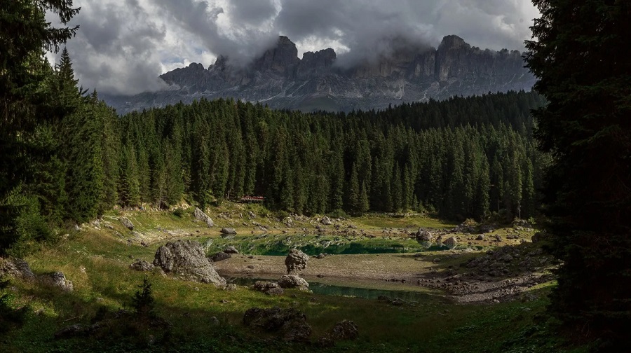 леса Норвегии