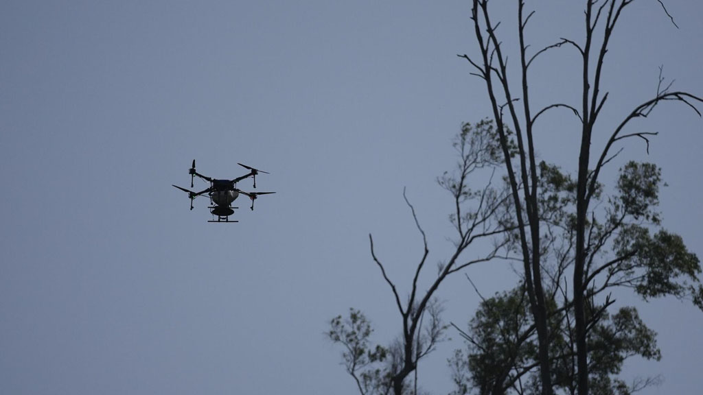Накануне вечером над военной базой Эльзенборн в Бельгии было обнаружено около 15 неизвестных беспилотных летательных аппаратов (БПЛА). Об этом сообщил телеканал VRT NWS со ссылкой источники. Позже эту информацию подтвердил пресс-секретарь министра обороны страны Тео Франкен.