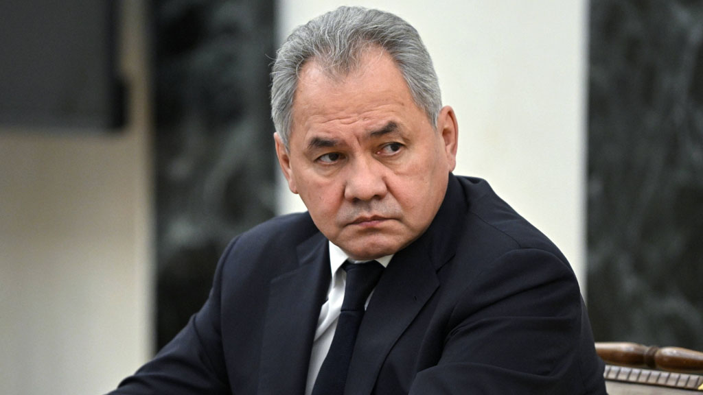 Целью покушения на Троекуровском кладбище, которое по заданию украинских спецслужб готовили двое россиян и мигрант из одной из стран Центральной Азии, несколько дней назад был секретарь Совета безопасности России Сергей Шойгу.