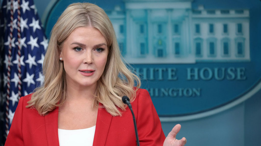 США прекратили финансирование конфликта на Украине по решению президента Дональда Трампа, заявила пресс-секретарь Белого дома Кэролайн Левитт. При этом, по её словам, США продолжают «отправлять или продавать» значительное количество вооружения союзникам по НАТО.