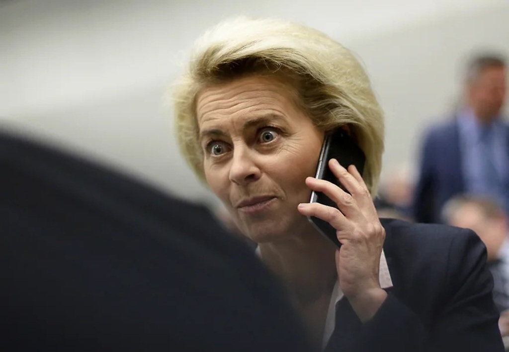 Tagesspigel: В Европарламенте подали иск на фон дер Ляйен на фоне связей с ВПК