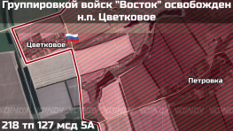 Группировка «Восток» освободила населенный пункт Цветковое