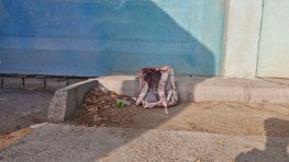 Сводка событий в Иране, Сирии и на Ближнем Востоке за 1 марта 2026 г.