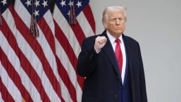 WSJ: Трамп готов завершить операцию против Ирана и без открытия Ормузского пролива