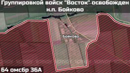 Группировка войск «Восток» выбила ВСУ из села Бойково в Запорожской области