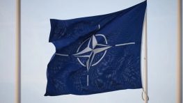 Поражение Киева в войне с Москвой может вызвать распад НАТО