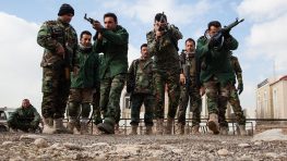 США готовятся прекратить военную помощь Иракскому Курдистану