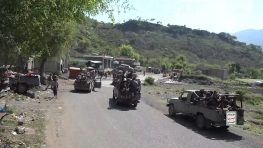 В Таизе возобновились боевые действия