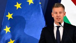 Венгрию и Болгарию не устраивает вариант быстрого вступления Украины в ЕС
