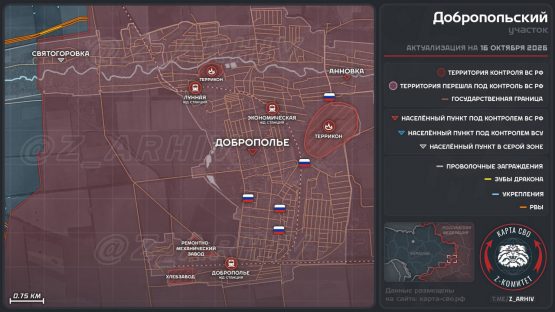 Российская армия освободила Доброполье